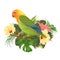 Parrot lovebird Agapornis tropical bird standing on a branch and hibiscus on a white background vintage vector illustration edita