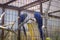 Parrot Macaw Also Known As Ara In A Spacious Cage At The Zoo. Photo In Selective Focus