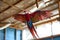 parrot in midflight inside a zoo aviary with outspread wings