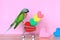 Parrot on model miniature shopping cart and colorful of handmade crochet heart for valentines day