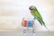 Parrot on model miniature shopping cart and shopping bag on wooder background