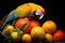 a parrot pecking at a large fruit