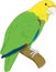 Parrot on a Perch Illustration