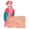 A parrot in a pirate hat sits on a board. Watercolor illustration. Isolated on a white background.