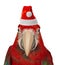 Parrot in Santa Claus hat