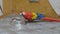 Parrot Scarlet macaw, Colorful bird eating from a metal plate