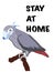 Parrot taking mask for  protect corona , text, stay at home ,stay alive, poster brochure design