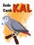 Parrot taking mask for  protect corona , text, stay at home ,stay alive, poster brochure design