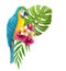 Parrot with tropical bouquet of hibiscus flowers, frangipani, greenery of monstera leaf and palm fronds. Exotic floral composition