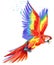 Parrot. Watercolor Parrot illustration. Tropical bird watercolor.
