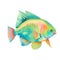 Parrotfish in Cartoon style in watercolor style in cartoon style. Cute Little Cartoon Parrotfish isolated on white background.