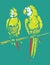 Parrots