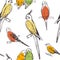 Parrots and canaries. Vector seamless pattern