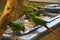 Parrots eating their food. In the zoo