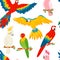 Parrots macaw red-blue isolated on white background seamless pattern vector illustration. Flying and sitting on branches