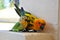 Parrots at Maldives 9