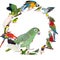 Parrots and parakeets circle set on white