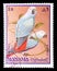 Parrots on postage stamps