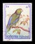 Parrots on postage stamps
