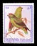 Parrots on postage stamps