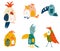 Parrots set. Cartoon cute various parrots. Exotic birds. Great for children cards, prints and greeting card. Isolated vector clip