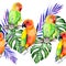 parrots  tropical leaves and flowers