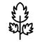 Parsley botany icon, outline style