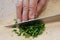 Parsley chopping detail