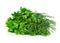 Parsley, dill, bunch