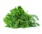 Parsley, dill, bunch