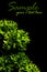 Parsley green leaf