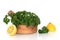 Parsley Herb and Lemon Halves