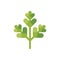 Parsley leaf flat icon. Colorful green leaf flat illustration