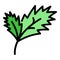 Parsley plant icon color outline vector