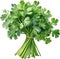 Parsley plant, Watercolor painting of Parsley plant. AI-Generated.