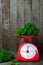 Parsley on red scales on wooden background