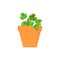 Parsley vector culinary herb in terracotta pot.