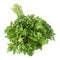 Parsley vegetable herb on white