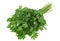 Parsley vegetable herb on white