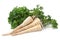 Parsley vegetable root on white