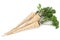 Parsley vegetable root on white