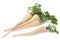 Parsley vegetable root on white