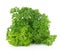 Parsley on white background