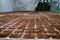 Parsley will sprout in soil tray