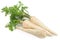 Parsnip root with leaf