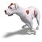 Parson Russel Terrier Dog. 3D rendering with