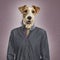 Parson russel terrier dressed, textured background