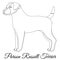 Parson Russel terrier outline