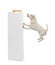 Parson Russell terrier jumping at a bone