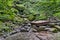 Part of authentic rockery and bridge in Vitosha mountain